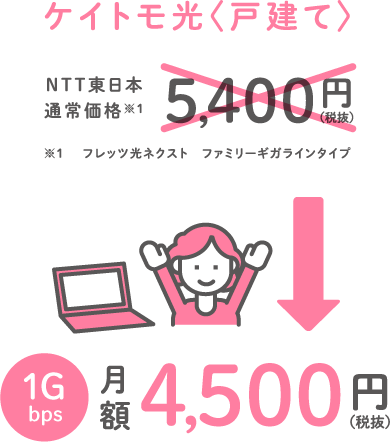 ケイトモ光〈戸建て〉 1Gbps 月額4,500円（税抜）