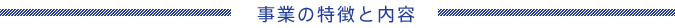 事業の特徴と内容