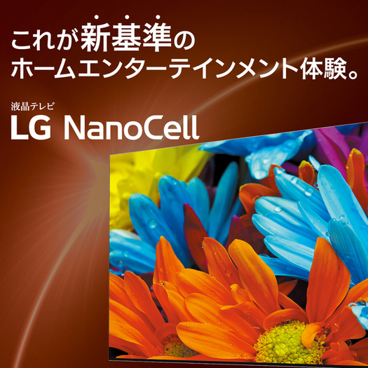 【標準設置対応付】LG 65NANO76JPA 65V型 4K 地上・BS・110度CSデジタル液晶テレビ 4K対応2