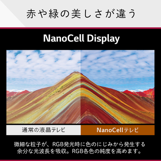 【標準設置対応付】LG 65NANO76JPA 65V型 4K 地上・BS・110度CSデジタル液晶テレビ 4K対応3