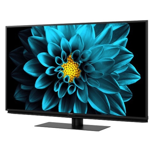 【標準設置対応付】シャープ 4T-C50DL1 アクオス DL1シリーズ 50V型 BS/CS 4K内蔵液晶テレビ2