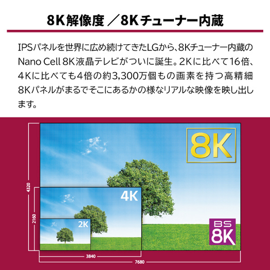 【標準設置対応付】ＬＧエレクトロニクス 55V型4K・8Kチューナー内蔵液晶テレビ Nano Cell 55NANO95JNA2