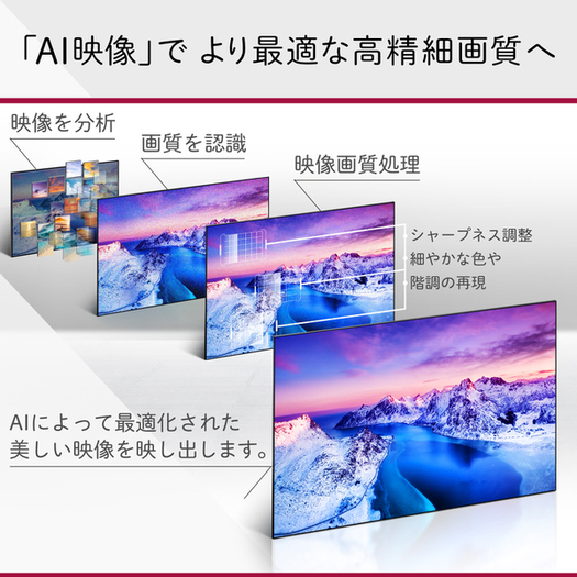 【標準設置対応付】LGエレクトロニクス 48A1PJA 地上・BS・110度CSデジタル有機ELテレビ 4K対応2