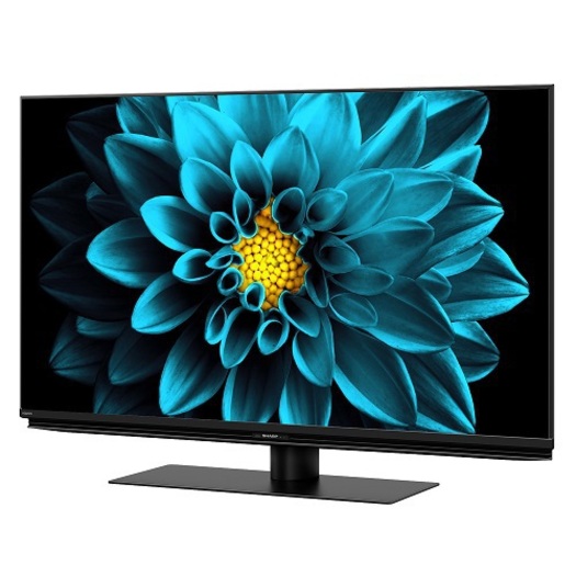 【シャープ】4T-C43DL1 AQUOS（アクオス） DL1シリーズ 43V型 BS/CS 4K内蔵液晶テレビ2