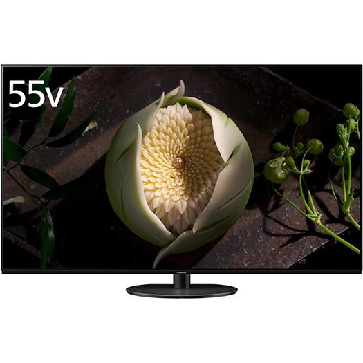 【標準設置対応付】パナソニック TH-55JZ1000 ビエラ 55V型 4K有機ELテレビ 4Kダブルチューナー内蔵