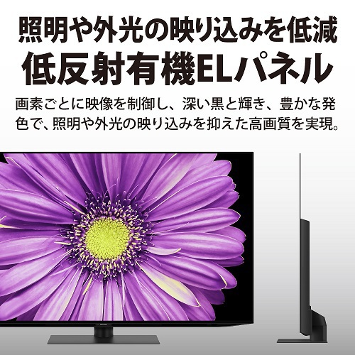 【標準設置対応付】シャープ 4T-C55DQ2 AQUOS DQ2シリーズ 55V型 BS/CS 4K内蔵有機ELテレビ2