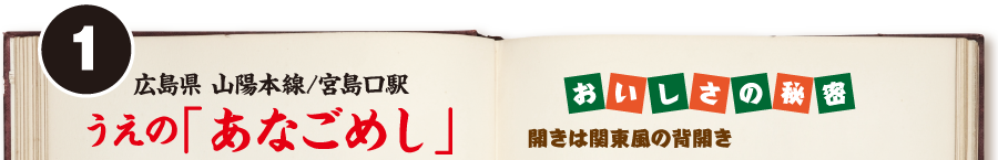 広島県 山陽本線/宮島口駅　うえの「あなごめし」