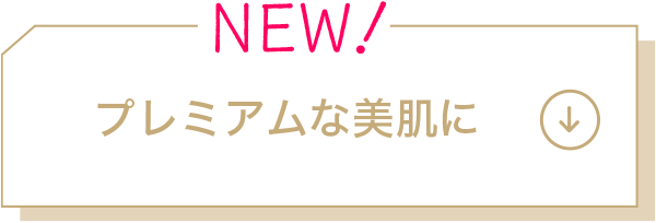 今年の新顔