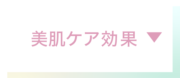 新作コレクション
