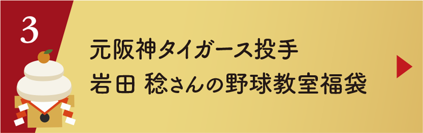 元野球日本代表 岩田 稔さんの野球教室福袋