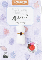 標本リングとチョコレート