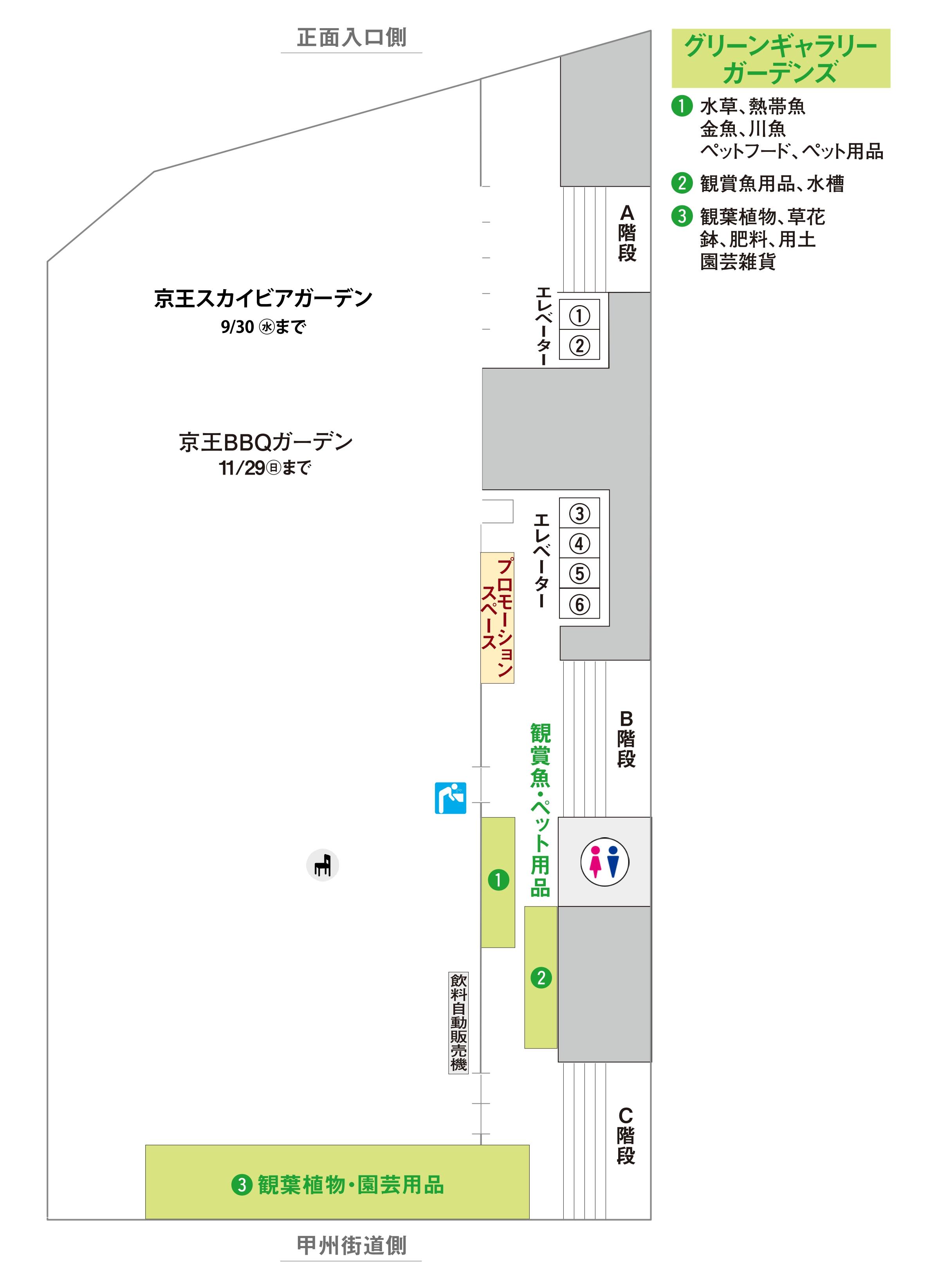 屋上