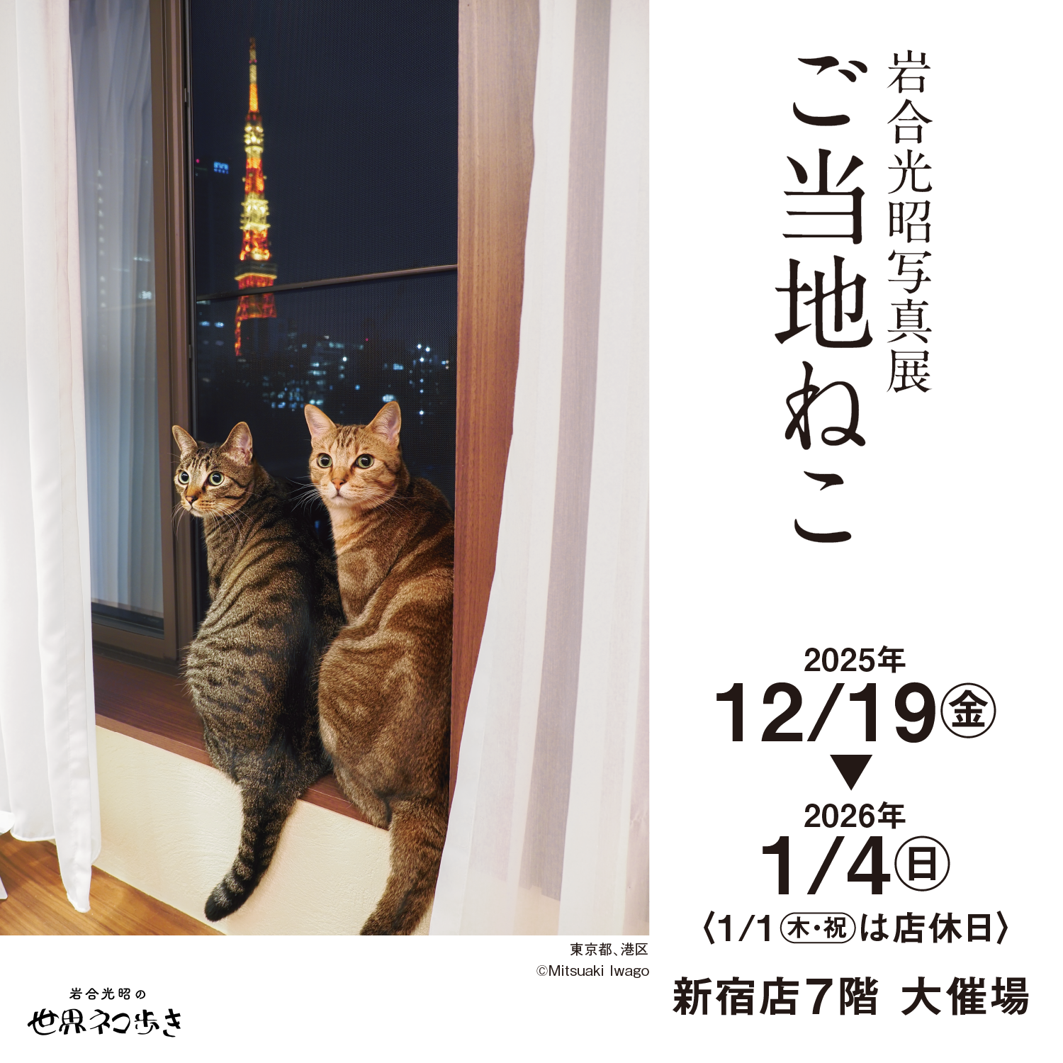 岩合光昭写真展 ご当地ねこ | 京王百貨店 新宿店